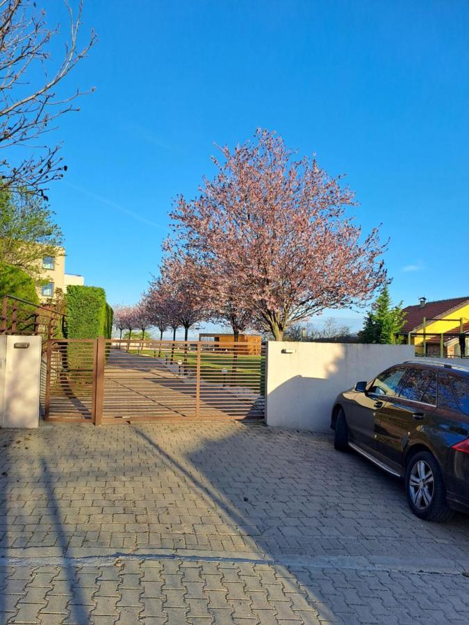 Villa Sunny Side Apartment Skopje Dolno Solnje 外观 照片